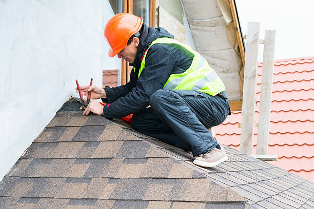Best Roof Gutter Cleaning  in Mexico, MO